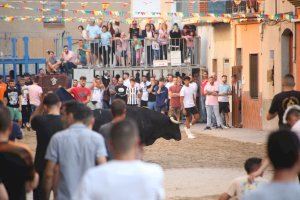 Coneix el programa complet de les festes del Barri del Axiamo de Borriana 2024