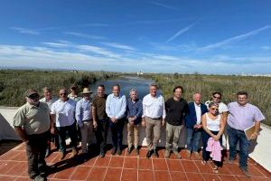 El galápago europeo regresa a casa: una nueva vida en l'Albufera