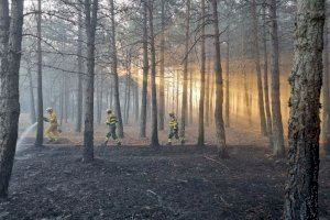 Bomberos actuando en el incendio forestal de Bejís en el término municipal de El Toro