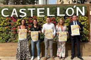 Los juegos de mesa tomarán la plaza Mayor este sábado en el Día de los Juegos de Castellón