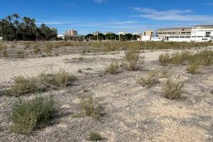 El nuevo colegio Les Arrels de Elche tendrá un presupuesto de 6,6 millones de euros y 14 meses de plazo de ejecución