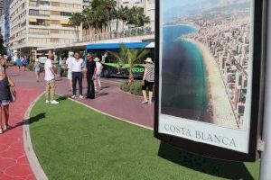 Benidorm avanza en la restauración paisajística del paseo de Poniente con la instalación de césped artificial y nuevas plantaciones