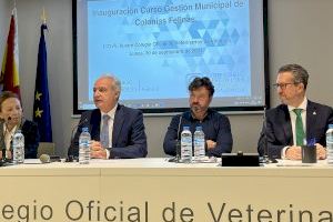 La Diputació de València refuerza la formación a los ayuntamientos en la gestión de colonias felinas