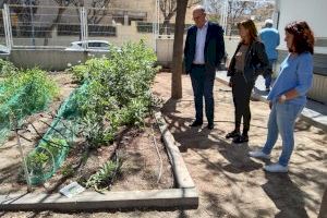 Un total de 18 centros reciben ayudas municipales a sus proyectos de Educación Ambiental por 18.500 euros