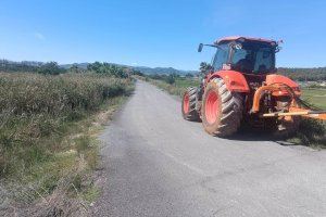 L'Ajuntament d'Almenara porta a terme tasques de manteniment i neteja en 7,5Km de camins rurals dins del Pla de Prevenció d'Incendis