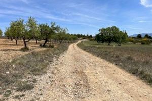 La Diputació de València aprueba la subvención para mejorar la carretera que une el Rincón de Ademuz y la provincia de Cuenca