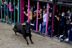 Moncofa arranca sus Fiestas de Sant Antoni: Conoce todo el programa