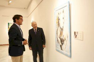 La Diputación de Alicante inaugura una nueva propuesta expositiva con 25 obras del Grupo de Pintores Solidario