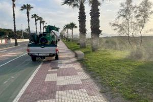 El Ayuntamiento de Castellón aumenta el presupuesto para atajar la plaga de mosquitos: "Sabemos que hay zonas especialmente sensibles"