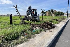 Burriana inicia las obras de finalización de la Avenida Mediterránea trasplantando el arbolado