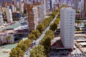 Benidorm encarga un estudio geotécnico para la segunda fase de renovación integral de la avenida del Mediterráneo