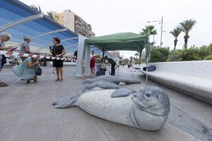 La foca monje cierra las jornadas de biodiversidad de la sede de la UA en Torrevieja y Faunatura