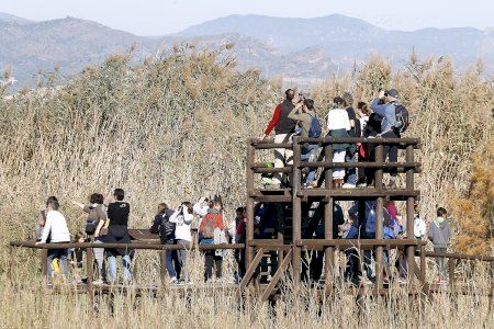 Visita la Marjal dels Moros amb la campanya «Tardor a la platja de Puçol»