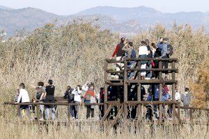 Visita la Marjal dels Moros amb la campanya «Tardor a la platja de Puçol»