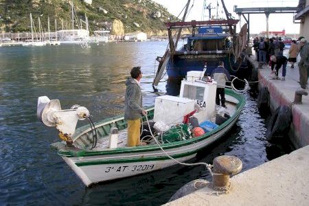 Experts en pesca aposten per esperar a la recuperació de les poblacions pesqueres abans d’aplicar-hi més reduccions