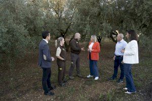 Marta Barrachina visita la posada en marxa dels guardes rurals