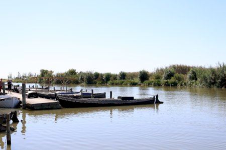 L’Ajuntament de Catarroja impulsa la declaració de l’Albufera com Reserva de la Biosfera