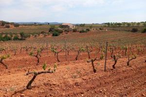 LA UNIÓ reclama a la Conselleria de Agricultura la ampliación de las ayudas por la sequía y al Ministerio de Agricultura que las complemente