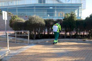 PortCastelló realiza tratamientos de control y prevención de mosquitos en la plaza de Sète