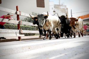 El Día del Pilar, los encierros al estilo oropesino y el Día de la Bicicleta marcarán el último fin de semana de las fiestas patronales