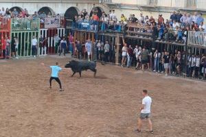 Nules despide sus fiestas patronales este fin de semana con una gran participación en los actos taurinos