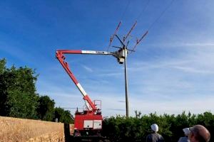 Medio Ambiente colabora en la instalación de medidas para evitar electrocuciones de aves en líneas eléctricas de Moncada y Bétera