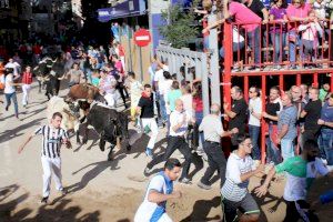 Un brote de 'lengua azul', enfermedad entre bovinos, obliga a cambiar la ganadería de un encierro de la Fira d'Onda