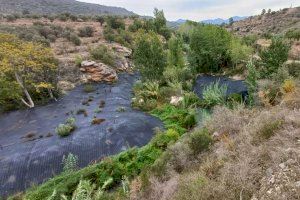 Río Tuéjar a su paso por Chelva