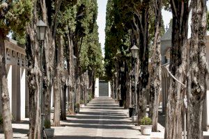 Alzira organitza visites guiades per a conéixer la història i el patrimoni del cementeri