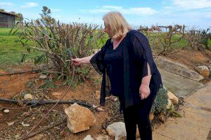 Miles de litros de agua ahorrados: Oropesa del Mar lucha contra la sequía con una nueva red de riego