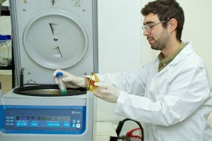 Investigadors de la Universitat d’Alacant obtenen un catalitzador que permet produir gas natural sintètic a baixa temperatura