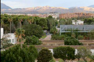 La Universidad de Alicante destaca la excelente calidad del aire en su campus