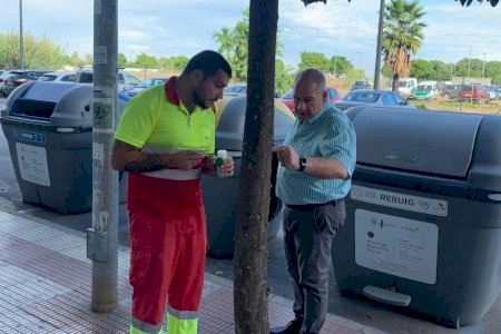 S’ha iniciat una nova campanya de control biològic de plagues en els arbres d’Alzira