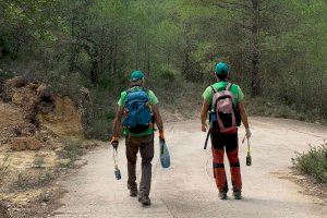 Unos guardianes altruistas vigilan uno de los bosques valencianos más queridos: conoce la historia de los héroes anónimos que desconoces