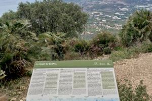 Altea ejecuta trabajos de conservación y mejora del sendero PR-CV7 de Bèrnia