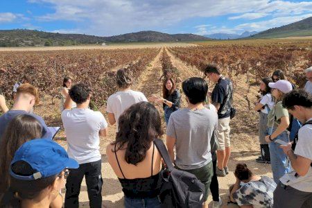 Estudiantes de la Universidad Autónoma de Barcelona visitan Villena para analizar su propuesta turística