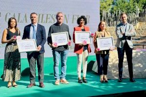 Torrent galardonada de nuevo en esta edición con 4 ‘Flores de Honor’ en los reconococimientos ‘Viles en Flor’