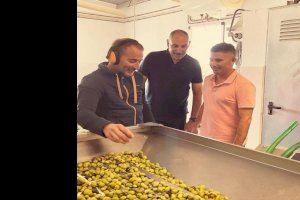 Se retoma la producción de aceite a través de la almazara municipal