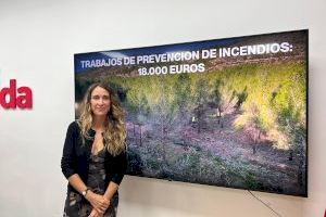 Elda comienza en la zona del Hospital los trabajos del Fondo Estratégico Forestal incluidos en el Plan Local de Prevención de Incendios