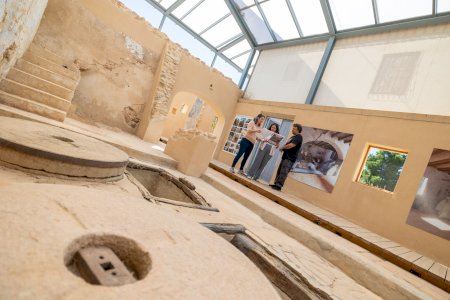 L’Alfàs presenta un programa de visitas guiadas al Molí de Mànec y a los árboles singulares de Carbonera