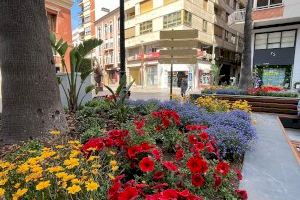 Castelló rep el màxim reconeixement en la Gala ‘Viles en Flor’ per la seua aposta per la renaturalització i embelliment de la ciutat