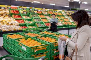 Mercadona prevé comprar 8.000 toneladas de caqui Persimon cultivado en Valencia, un 14% más que en la campaña anterior