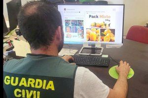 Cae un exportador de naranjas tras estafar a agricultores de Pego, Pedreguer, Gata y Gandía