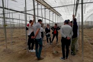 Alerta en el campo: Solo el 2% de los agricultores y ganaderos tiene menos de 34 años