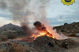 Susto en un paraje de Novelda: realiza una quema a pocos metros de una zona forestal y sin medios para sofocar el fuego