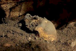 El MARQ descubrió ya un cráneo completo de 5.000 años de antigüedad en la Cova del Randero de Pedreguer