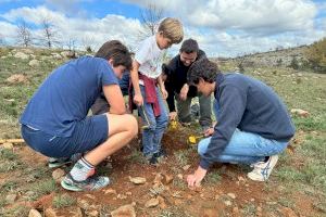 Más de 40 estudiantes repueblan una hectárea de Toràs