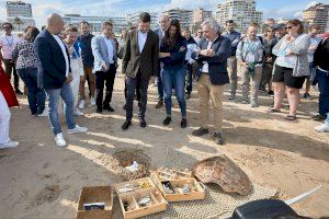 Gandia es referencia com a destinació turística de primer ordre amb la celebració del II congrés Bandera Blava