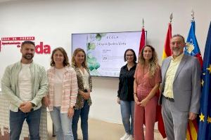 El Proyecto Écola entregará otras nueve 'Banderas Verdes' a centros de Elda y Petrer por su implicación en la educación medioambiental