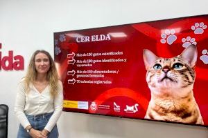 Elda recibe una subvención de la Diputación de Alicante para la gestión y control ético de las colonias felinas de la ciudad